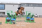 BPP_0042
