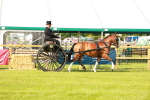 SBM_01157