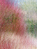 15th February Winter Colours