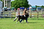 SBM_03400
