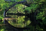 Glenfaba bridge reflection