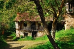 Porcieda