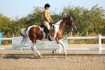 SBM_01135
