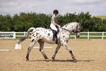 SBM_002042