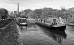 Between Bridges 26a and 27, Macclesfield Canal (2)