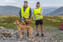Fellside-463