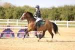 SBM_03920