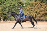 WJ6_6847