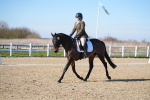 SBM_003385