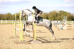 SBM_003668