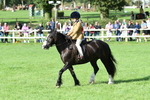 SBM_50365
