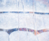 UNDER ICE #18- BACKUS WOODS
