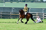SBM_07966