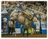 Rodeo Portfolio - Saddle Bronc 01