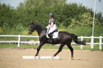 SBM_008842