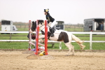 SBM_001696