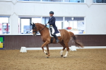 SBM_008951