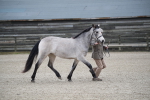 SBM_003970