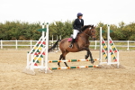 SBM_007411