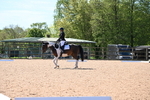 WJ6_8687