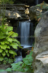 Botanical Gardens, Burlington