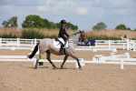 SBM_03990
