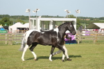 SBM_10476