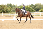 Class 14 - FEI PSG Silver - 13.00-13.48 portfolio