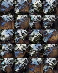 Looking Up, Looking Down