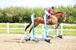 SBM_001713