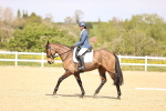 SBM_008396