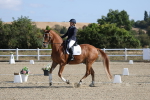 SBM_020222