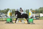 SBM_011656