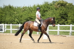 SBM_009531