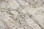 SBM_006881