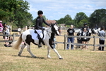 WJ6_5433