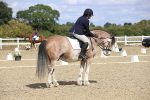 SBM_014576