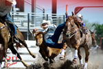 3HRodeo_CFD_JUL_19_2026_02891