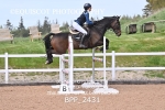 BPP_2431