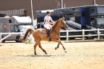 SBM_001879