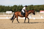 SBM_003755