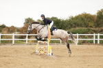 SBM_008949