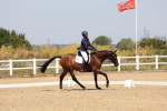 SBM_004291