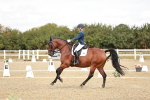 SBM_009514