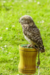 0628 IMG_6612