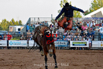 3HRodeo7-12-24_LJD_3HR4096_LJD