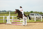 SBM_000384