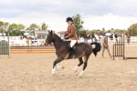 SBM_06202