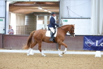 SBM_002177