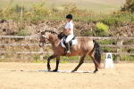 SBM_010639